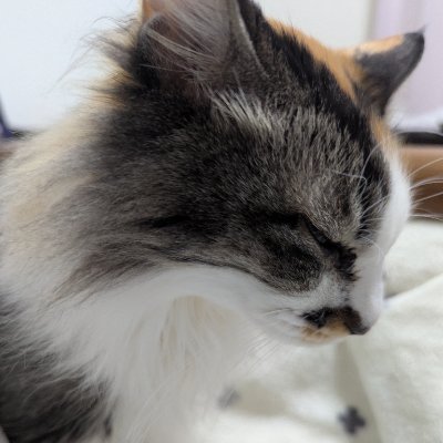 unipon_420's profile picture. オタク出戻り子持ち主婦。好きを追いかけ収集してます。