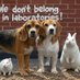 be.kind.to.every.animal (@bekindtoeveryan) Twitter profile photo be.kind.to.every.animal (@bekindtoeveryan) Twitter profile photo