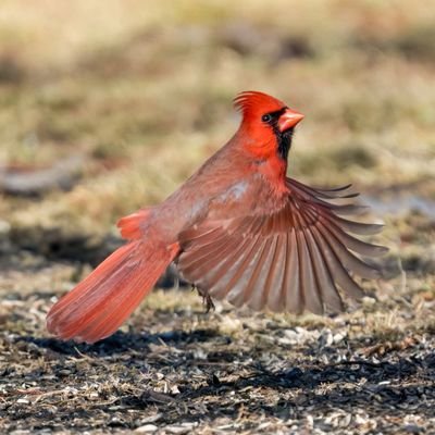 Katarzyn22a's profile picture. Kocham męża, lubię białe wino i nienawidzę hipokryzji, złodziejstwa, manipulacji - czyli PIS