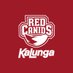 RED Canids Kalunga (@redcanids) Twitter profile photo RED Canids Kalunga (@redcanids) Twitter profile photo