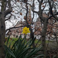 Clifton House Belfast (@cliftonbelfast) 's Twitter Profile Photo Clifton House Belfast (@cliftonbelfast) 's Twitter Profile Photo