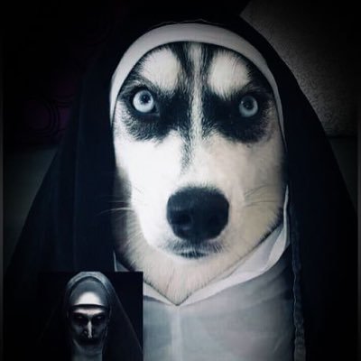 whan_suzie's profile picture. 