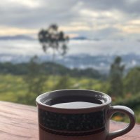 Ailee (@ailee_2313) 's Twitter Profile Photo