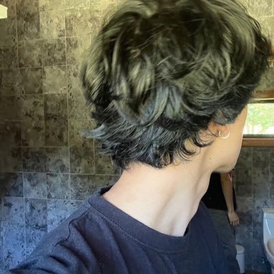 wh8zq's profile picture. 