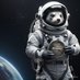 xferret coin (@xferretcoin) Twitter profile photo xferret coin (@xferretcoin) Twitter profile photo