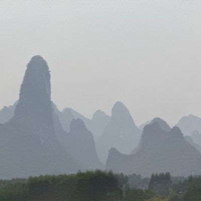 netscanner248's profile picture. 