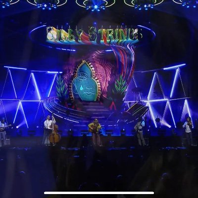 Whitecollawook's profile picture. War Damn