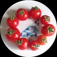 トマなふぃC:｡ﾐ (@manamana_fever) 's Twitter Profile Photo