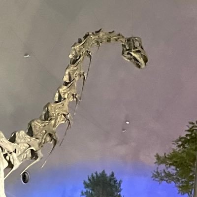 popontayyy's profile picture. botじゃなくて人間です