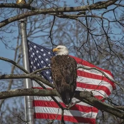 VickiWa98697281's profile picture. 