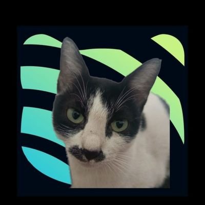 Adna_n16's profile picture. Code. | Crypto. | Ai. | Web3.  || Learning,building and exploring  || https://t.co/rmQz4CVqW6 CSE .