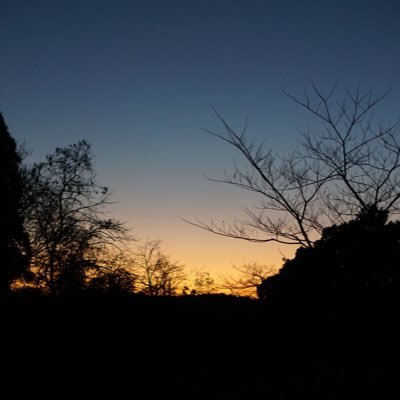 ftendencem's profile picture. 