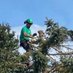 Adam Dinwiddy A.R.D Gardens (@ardgardens) Twitter profile photo Adam Dinwiddy A.R.D Gardens (@ardgardens) Twitter profile photo