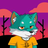 0xAnouarBF (@magicbit2) 's Twitter Profile