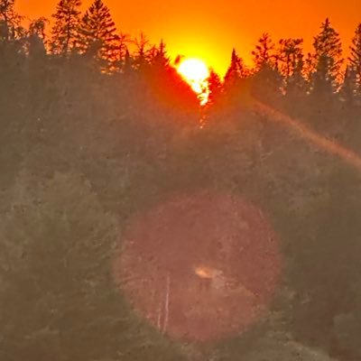 losclarke's profile picture. 