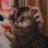 dnbm96's profile image