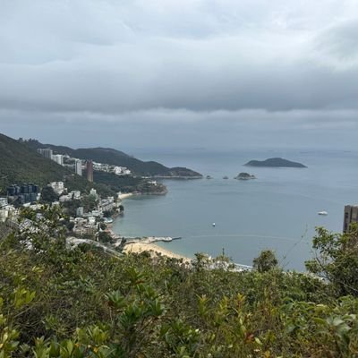 たののさんのプロフィール画像