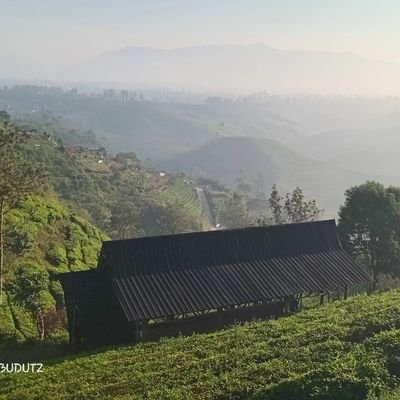 budi_gotama's profile picture. Heppy heppy aja lah😎