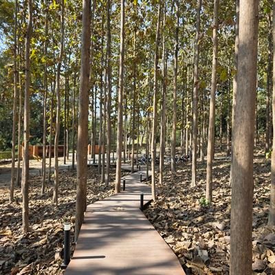 PutpongTim67797's profile picture. 