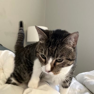 njenson7's profile picture. 