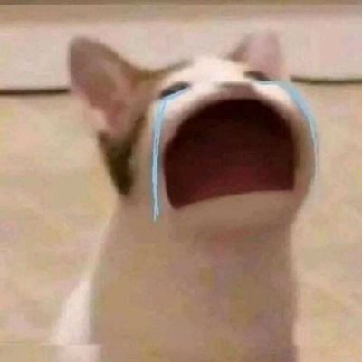 pembantaicrypto's profile picture. enjoy and learn
oh yes pfp is a gayass popcat

btw $BOI