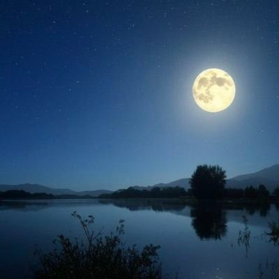 tensus14's profile picture. 