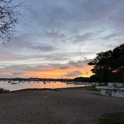 Martine677's profile picture. #Généalogiste professionnelle depuis 1997.  Passionnée par l'île de #Majorque.