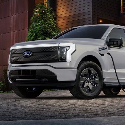 beltsbear's profile picture. 