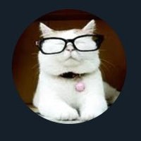 Catturd ™ (@mrcatturd) 's Twitter Profile