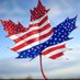 Blood and Soil🇨🇦🇺🇲 (@chainaviris) Twitter profile photo Blood and Soil🇨🇦🇺🇲 (@chainaviris) Twitter profile photo