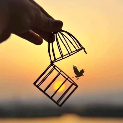 #یاعلی
پادشاهی میڪندصیدی
ڪه صیادش شمایید
#صلی_الله_علیڪ_یامولاے_یاعلی_ع
اينجا بهشت نيست
منم مجبور نيستم فرشته باشم
.
#محب_حیدر
.
👑
#شیراز