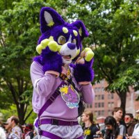 JayaWolf @HOME (@jayawolf0) 's Twitter Profile