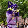 JayaWolf0's profile picture. Just a normal gay🏳️‍🌈 furry/Puppy🐶 addicted to attention and that loves to socialize and hang with friends, is also a construction dog👷