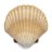 aphrodites_b's profile image