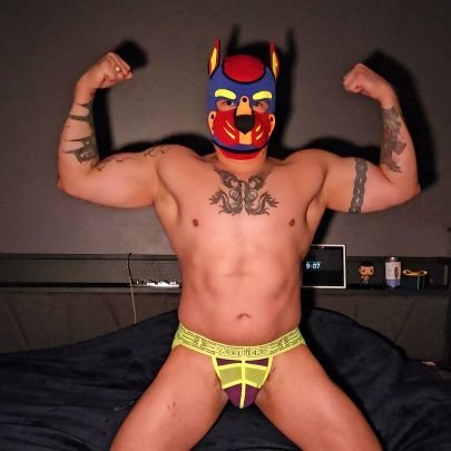 PupLuchador's profile picture. 41 year old grappling wannabe muscle pup! awroooo!