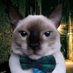 Gato (@poliamortz) Twitter profile photo Gato (@poliamortz) Twitter profile photo