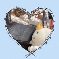 モカちゃん dショッピング |moz スニーカー レディース 黒 ローカット 軽量