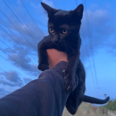 dainzn's profile picture. aaaaaaaaaaa