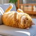 Chonky.cats (@dominguezlmm) Twitter profile photo Chonky.cats (@dominguezlmm) Twitter profile photo