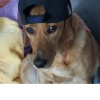 Ivano Defazio 🇨🇦🇮🇹🇺🇸 (@defazioivano) 's Twitter Profile Photo Ivano Defazio 🇨🇦🇮🇹🇺🇸 (@defazioivano) 's Twitter Profile Photo