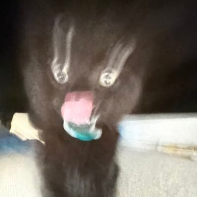 rural_agent's profile picture. 