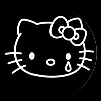 SDR π (@shanetheruler) 's Twitter Profile