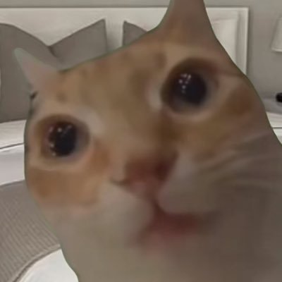 leengrcia's profile picture. en 🎲⛺️