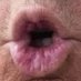 📢TRUMPs FOR PRISON📢The Grift Continue$ (@wheretfru777) Twitter profile photo 📢TRUMPs FOR PRISON📢The Grift Continue$ (@wheretfru777) Twitter profile photo