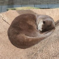 Lucy (@lucy6794454922) Twitter profile photo