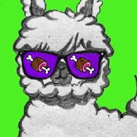 Hamma Llama (@hammallama7) 's Twitter Profile Photo Hamma Llama (@hammallama7) 's Twitter Profile Photo