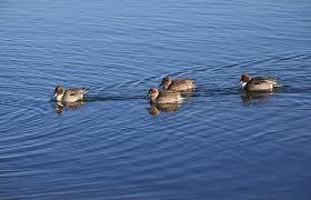 milpaikridok's profile picture. 睡眠大好きー最近は睡眠を通り越して爆睡かなーw