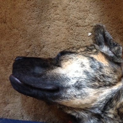 Willamena14's profile picture. Who's special?