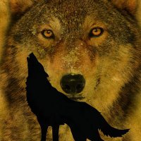 Mustafa (@turk_ocagitr) 's Twitter Profile Photo