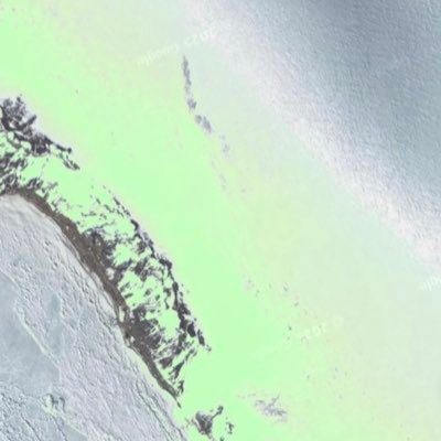 ettenig56's profile picture. MERCI